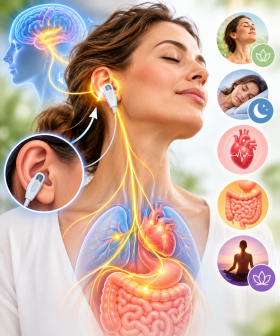  - Quantum Medical Lleida